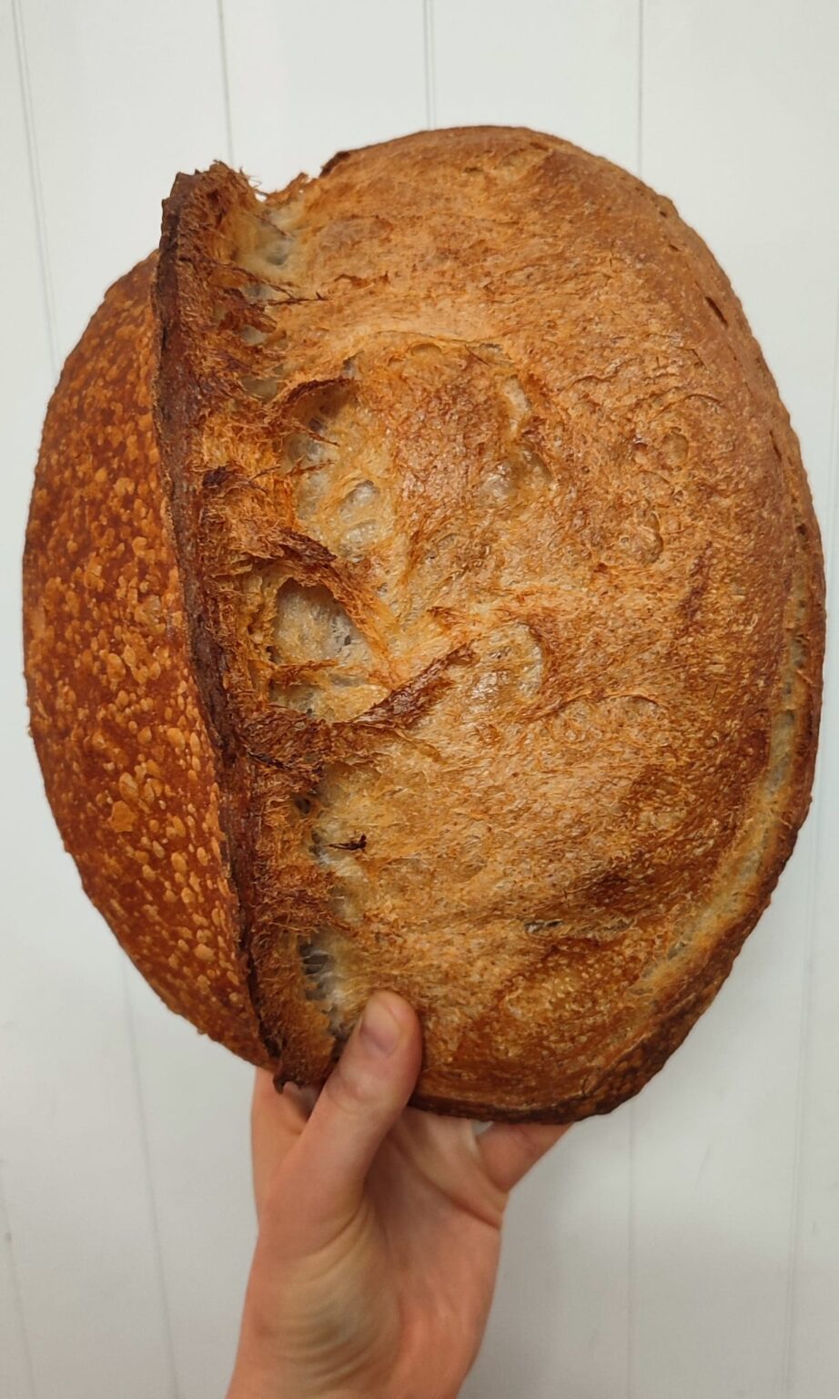 Sourdough white bread Toghma